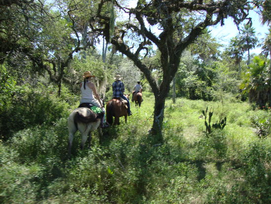 Das Land war riesen gross,wir ritten etwa 3Std. und am Abend tat uns der A.... ganz schoen weh hihihi.Doch dieser Tag war super schoen.
