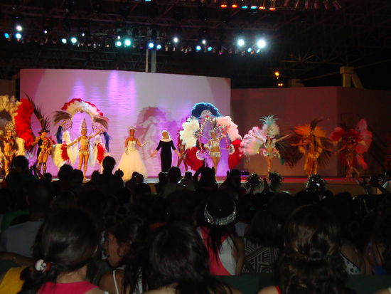 Im ersten Teil der Show wurde mit Kostueme und Tanz die Geschichte von Suedamerika dargestellt.Im zweiten Teil zeigte jede Fasnachts Gruppe Tanz und Musik.