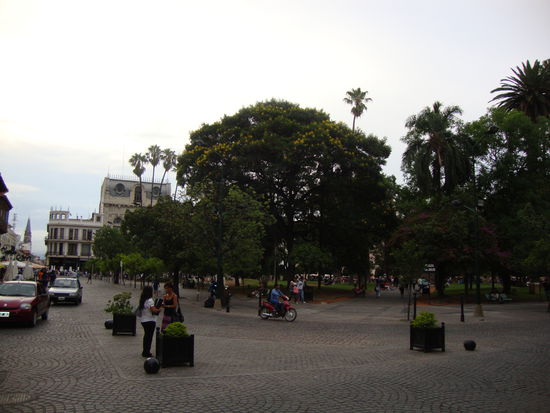 Die Schoene Plaza 9 de Julio.Ringsum die Kolonial Häuser und in der Mitte die Palmen.