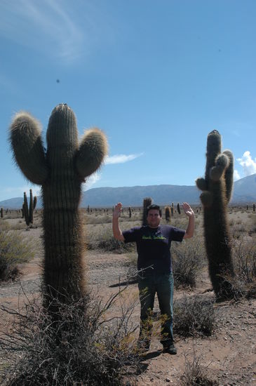 Der Schlankere ist mehrere hundert Jahre Alt den sie Wachsen 1cm. pro Jahr.