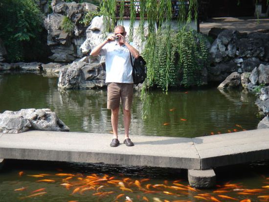wollen die fische fotographiert werden?