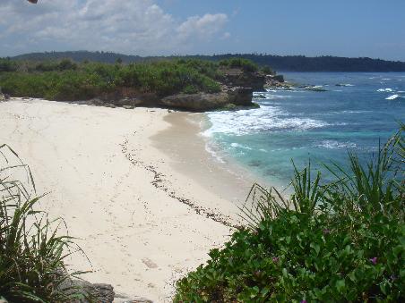 der white beach