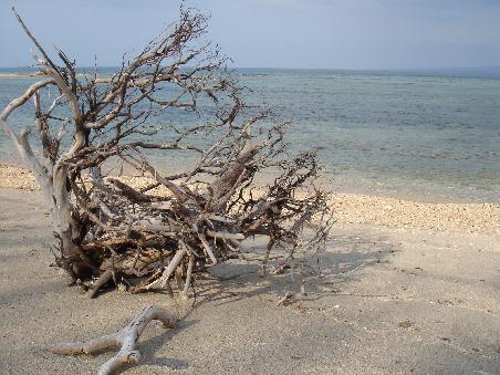 der beach auf gili air (oder mindestens ein teil davon