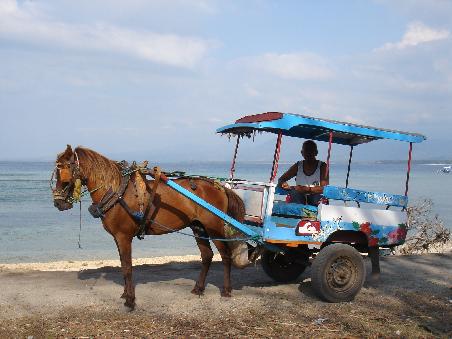 das transportmittel auf den gili islands