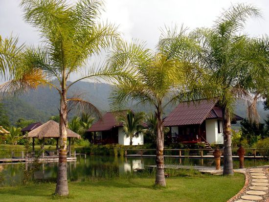 unsere bungalows "pairadise"