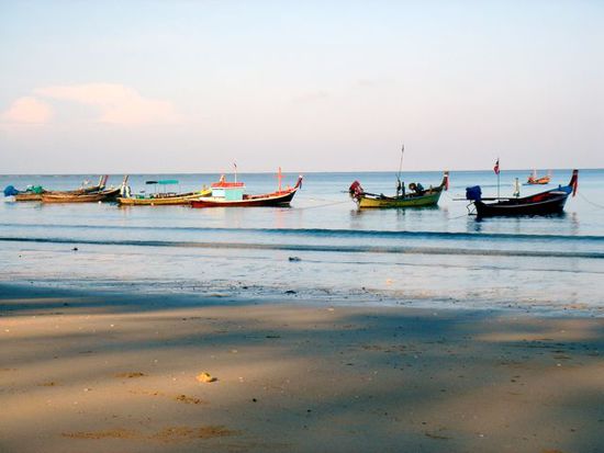 the beach