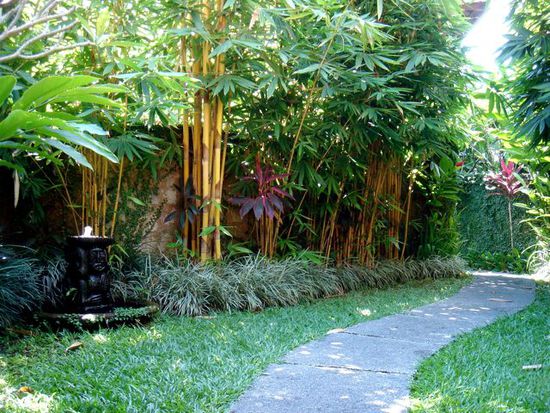 unser garten vor dem bungalow