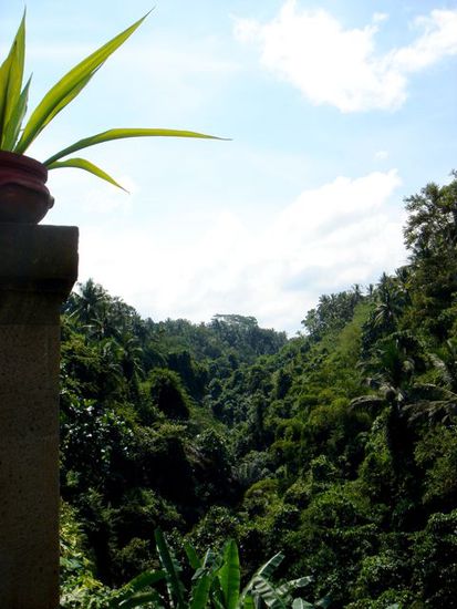 die aussicht aus der 6* villa