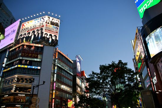 shibuya by night