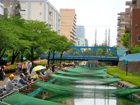 fischen inmitten von tokyo