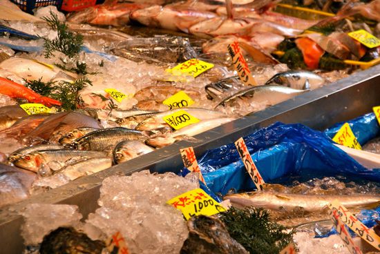 ein paar fische haben wir dann aber noch "gefunden"