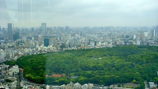 unser fenterplatz im new york grill restaurant