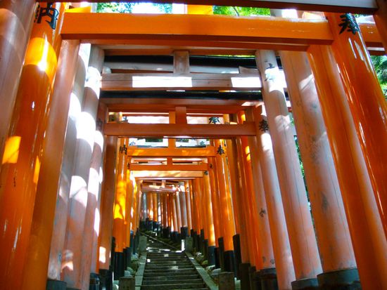 steil gehts zum teil bergauf