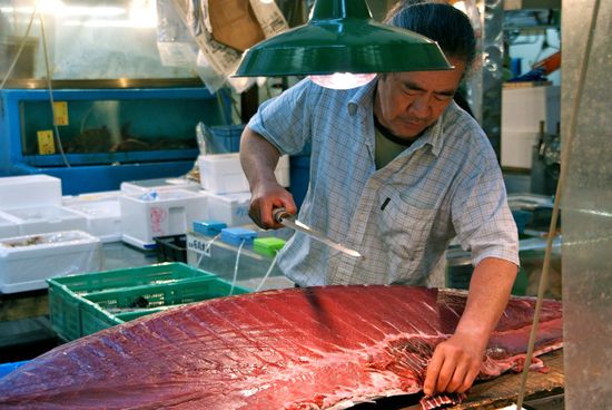 mmmmhhh...,tunfisch sashimi satt