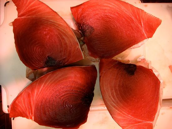 tunfisch steaks