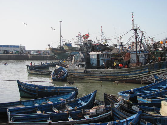 Fischerhafen von Essaouira ...