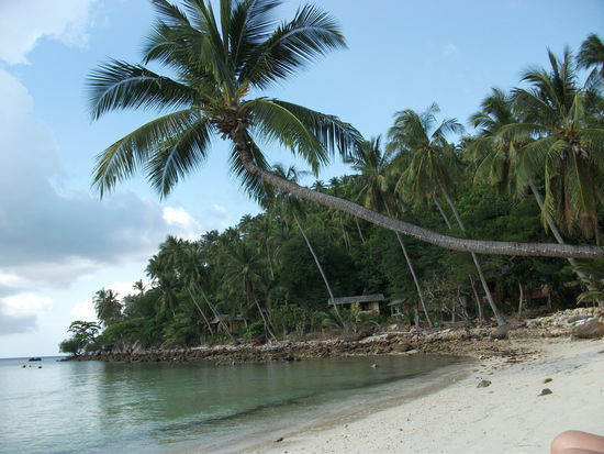 Beach Haad Salad bei EZ Gross