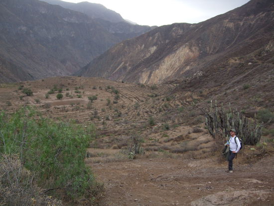 Teilweise alles sehr trocken.