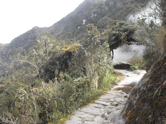 Beeindruckender Weg...