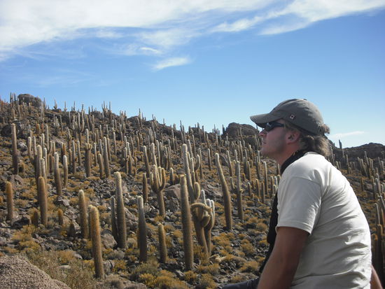 An der Kakteeninsel.