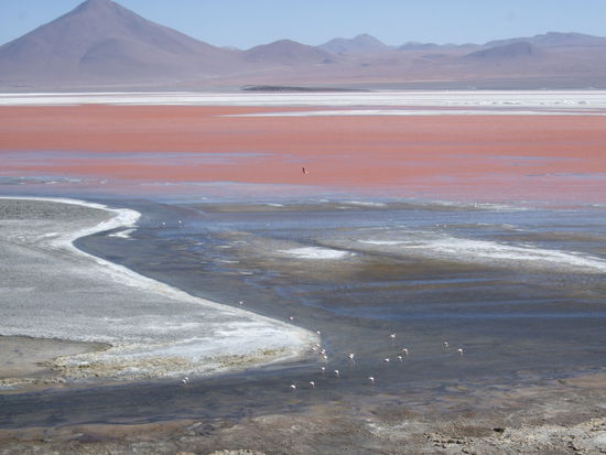 Laguna Colorado.