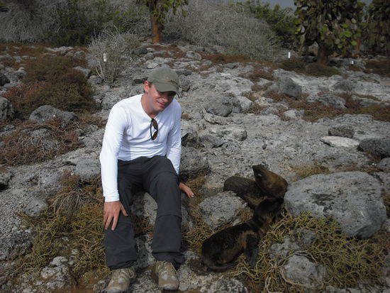 ... mit spielenden Seeloewenbabies.