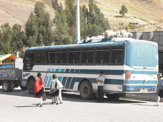 Man beacghte die Schafe auf dem Dach.