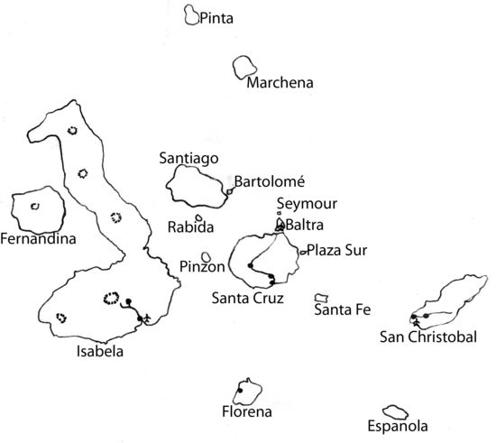 Übersicht: Einige der Galapagos-Inseln