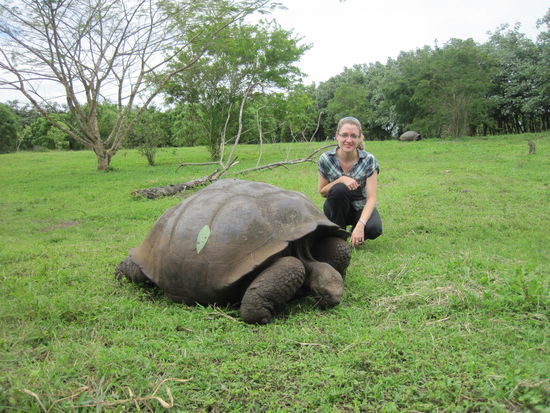 Bei den Riesenschildkroeten