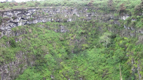 Blick von oben auf die Scalesienwälder