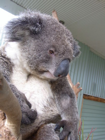 Und weil Sie so suess sind zum Abschluss noch einmal!!!