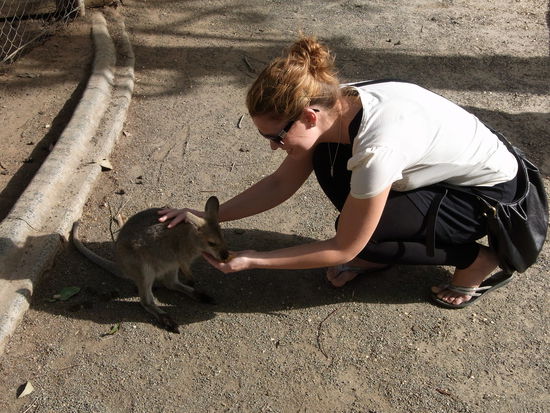 Raubtierfuetterung!!! Dieser wird uebrigens vor dem Rueckflug noch abgeholt und mitgenommen