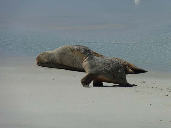 von dem kleinen gibt´s ca. eine Stunde Videomaterial