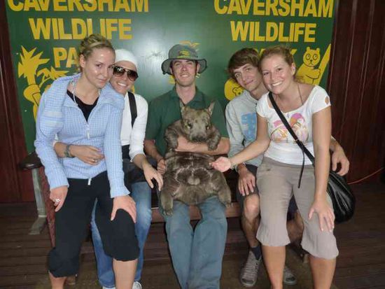 Im Tierpark nahe Perth mit einem Wombat (männlich wie man sieht )