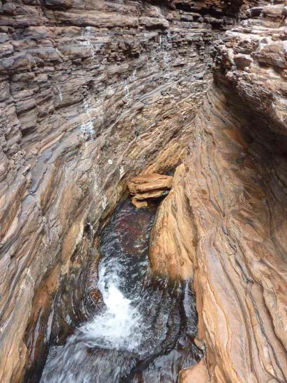 Spider Walk... entweder durchs Wasser oder an der Wand entlang