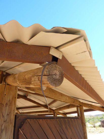 Leider haben wir nie herausgefunden zu wem dieser Schwanz gehört...