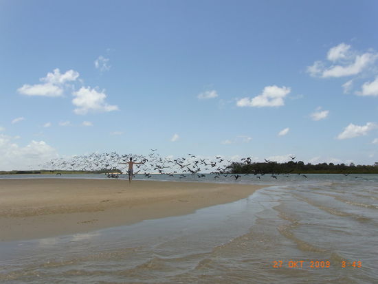 ...jetzt sind Sie weg...