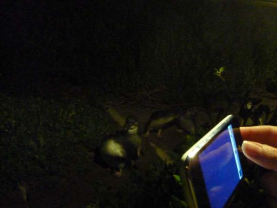 Hoffentlich erkennt man was!