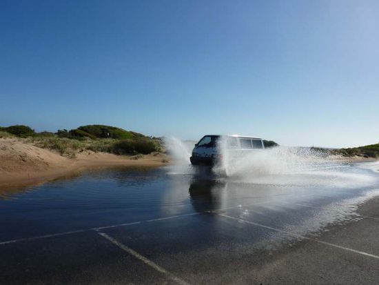 Waschgang für "Frankie"
