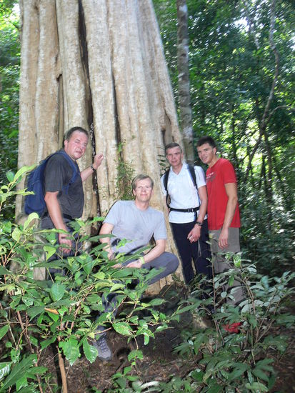 fünf stämmige Typen