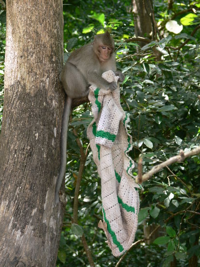 Tempelnachbar bereitet die neue Winterkollektion vor