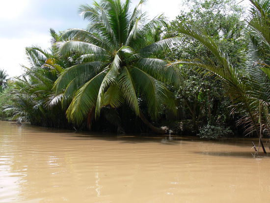 Seitenarm des Mekong