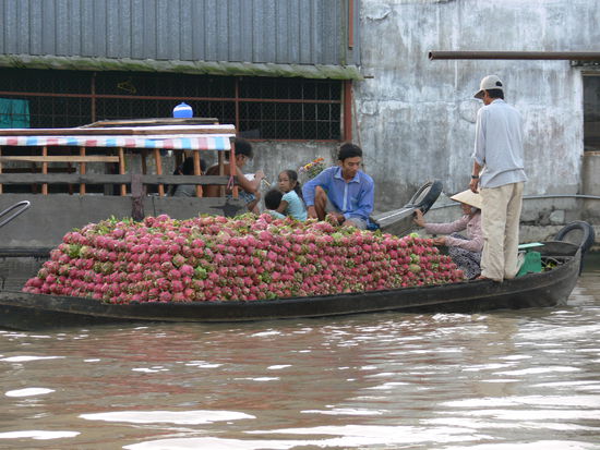 flavoured with Dragonfruit...