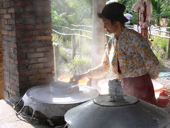 Die Glasnudelfabrik: gemahlener Reis wird mit Wasser vermischt, daraus wird über Wasserdampf eine Art Crepes gemacht, an der Luft getrocknet und anschließend mit einer Maschine in feine Streifen geschnitten. Fertig ist die Glasnudel...