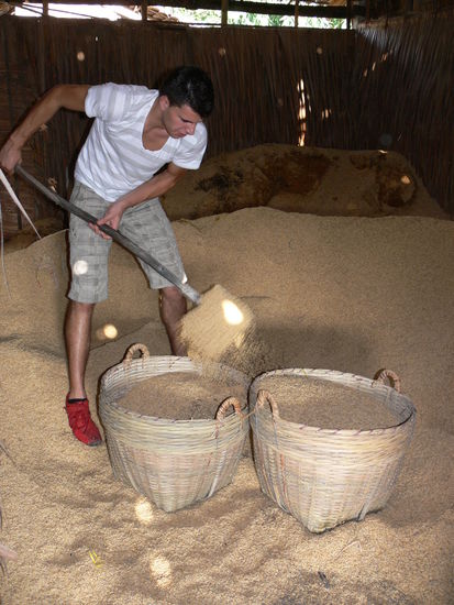 Zum Heizen werden die Dreschabfälle verwendet, Hilfe wurde dankbar angenommen.