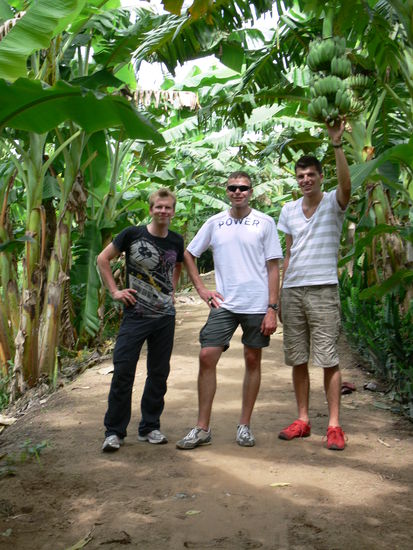 der Größe nach sortiert