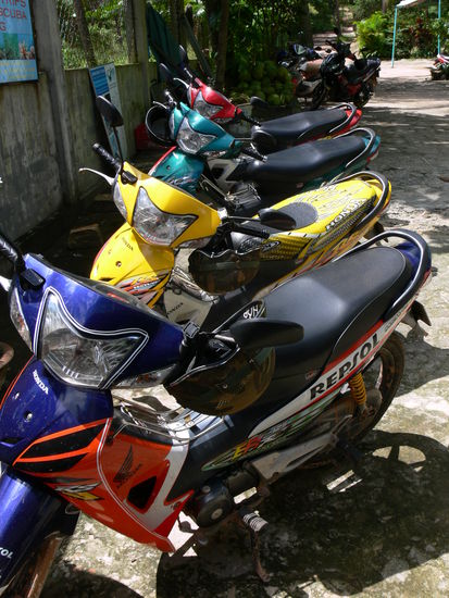 unser Fuhrpark (Honda 125 ccm / 80 km/h V-Max), hier war er noch sauber