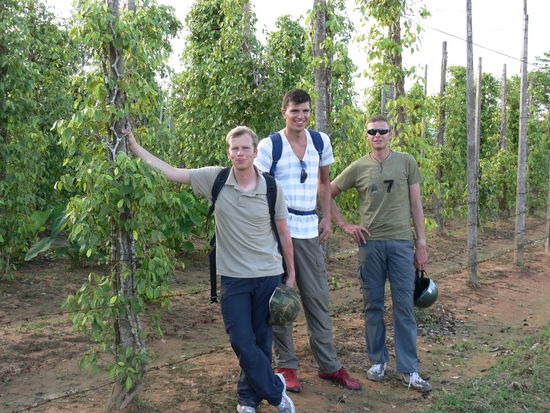 wir stehen da, wo der Pfeffer wächst