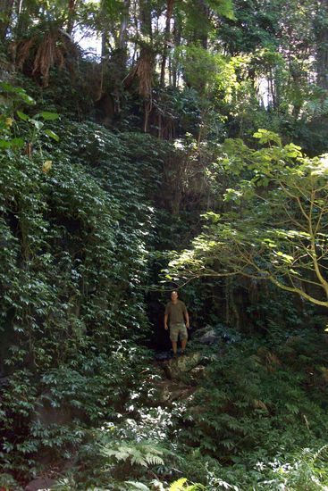 Im Regenwald. Eigentlich muesste ein Wasserfall hintermir herunterkommen aber da zur Zeit eine extreme Duerre herrscht ist da leider keiner.