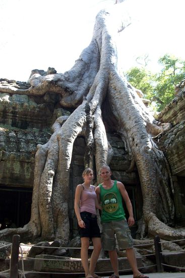 verwurzeltes Gemaeuer